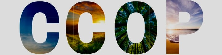 Screenshot 2023-11-24 at 2.50.06 PM