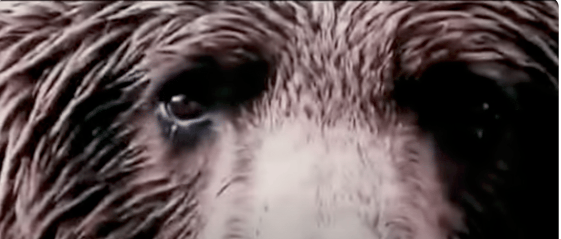 Screenshot 2025-03-31 at 10.34.38 AM